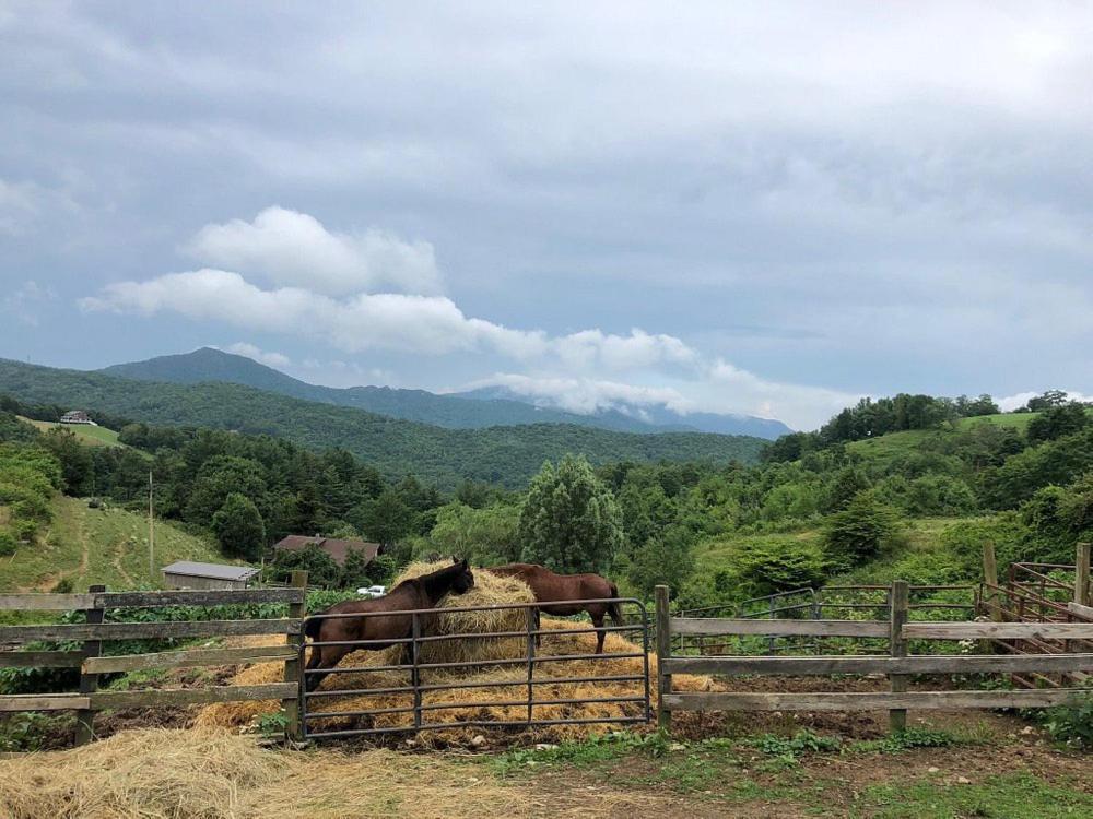 On Top Of The World At Sugar Top Resort 糖山 外观 照片